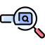 Search Engine Rankings